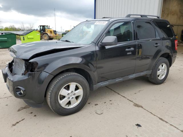 ford escape xlt 2011 1fmcu0dg0bka75325