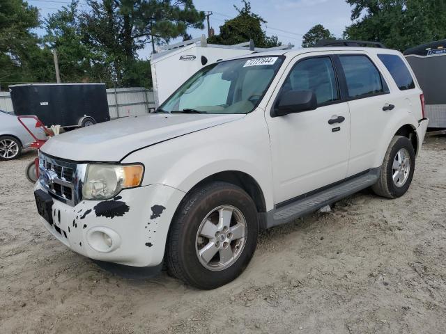 ford escape xlt 2011 1fmcu0dg0bkc48020