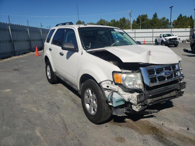 ford escape xlt 2011 1fmcu0dg0bkc55131