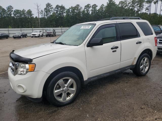 ford escape xlt 2012 1fmcu0dg0cka99237