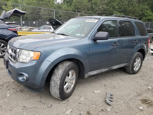 ford escape 2010 1fmcu0dg1akc94843