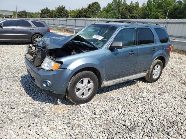 ford escape xlt 2010 1fmcu0dg1akd16663