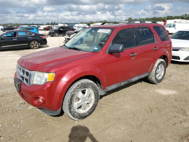 ford escape xlt 2011 1fmcu0dg1bkb03021