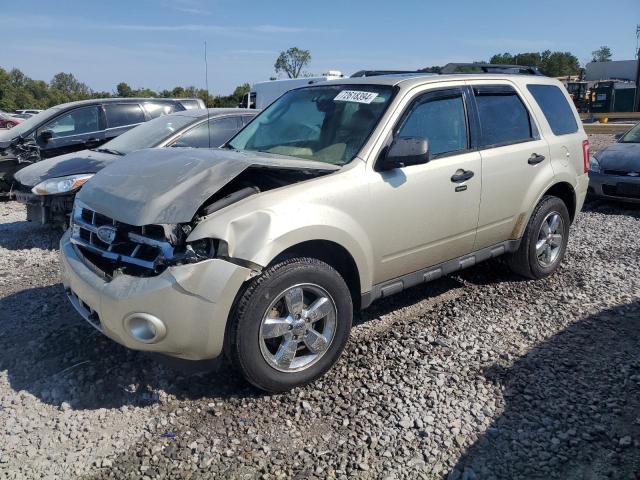 ford escape xlt 2011 1fmcu0dg1bkb09921