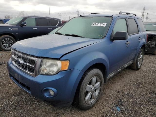 ford escape xlt 2010 1fmcu0dg2akb53991