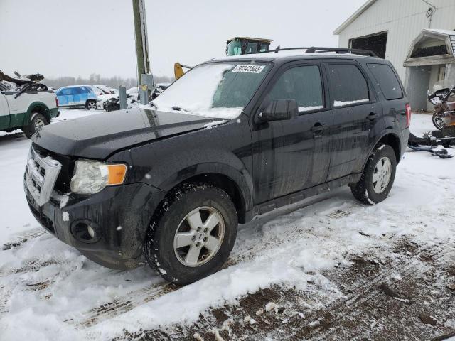 ford escape xlt 2010 1fmcu0dg2akd35660