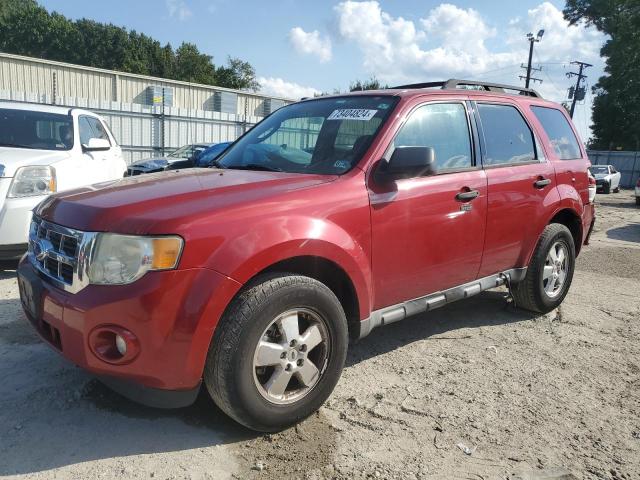 ford escape xlt 2011 1fmcu0dg2bkb95742