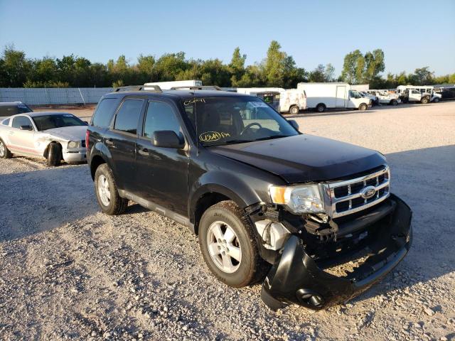 ford escape xlt 2011 1fmcu0dg2bkc52991