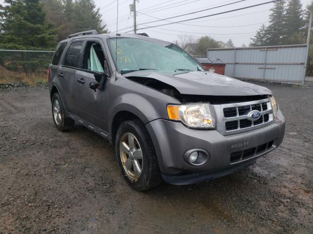 ford escape xlt 2012 1fmcu0dg2cka86490