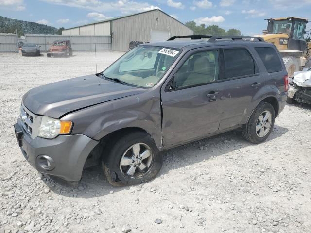 ford escape xlt 2010 1fmcu0dg3aka78394