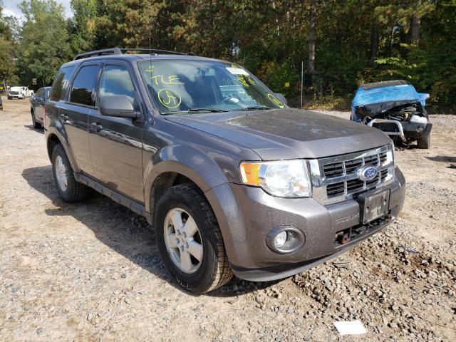 ford escape xlt 2010 1fmcu0dg4akb62580