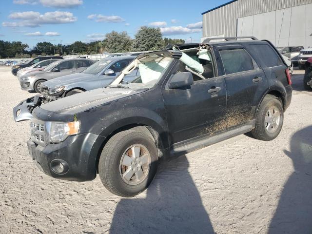 ford escape xlt 2011 1fmcu0dg4bkc59697