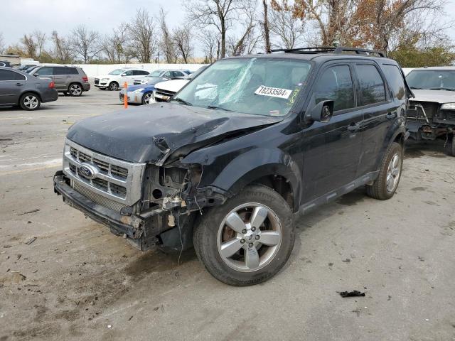 ford escape xlt 2012 1fmcu0dg4ckc82463