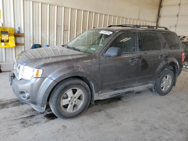 ford escape 2010 1fmcu0dg5aka80373