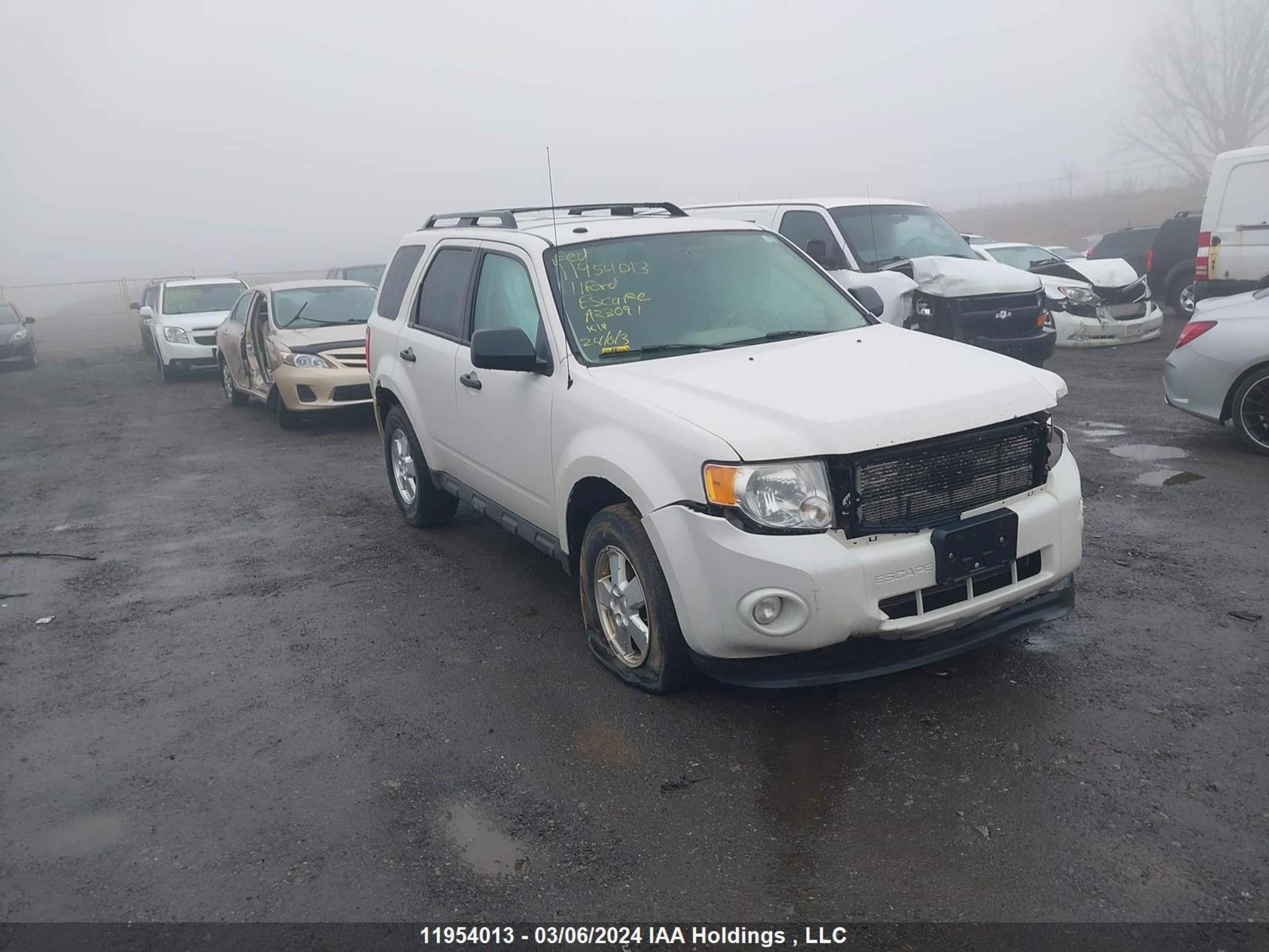 ford escape 2011 1fmcu0dg5bka23091