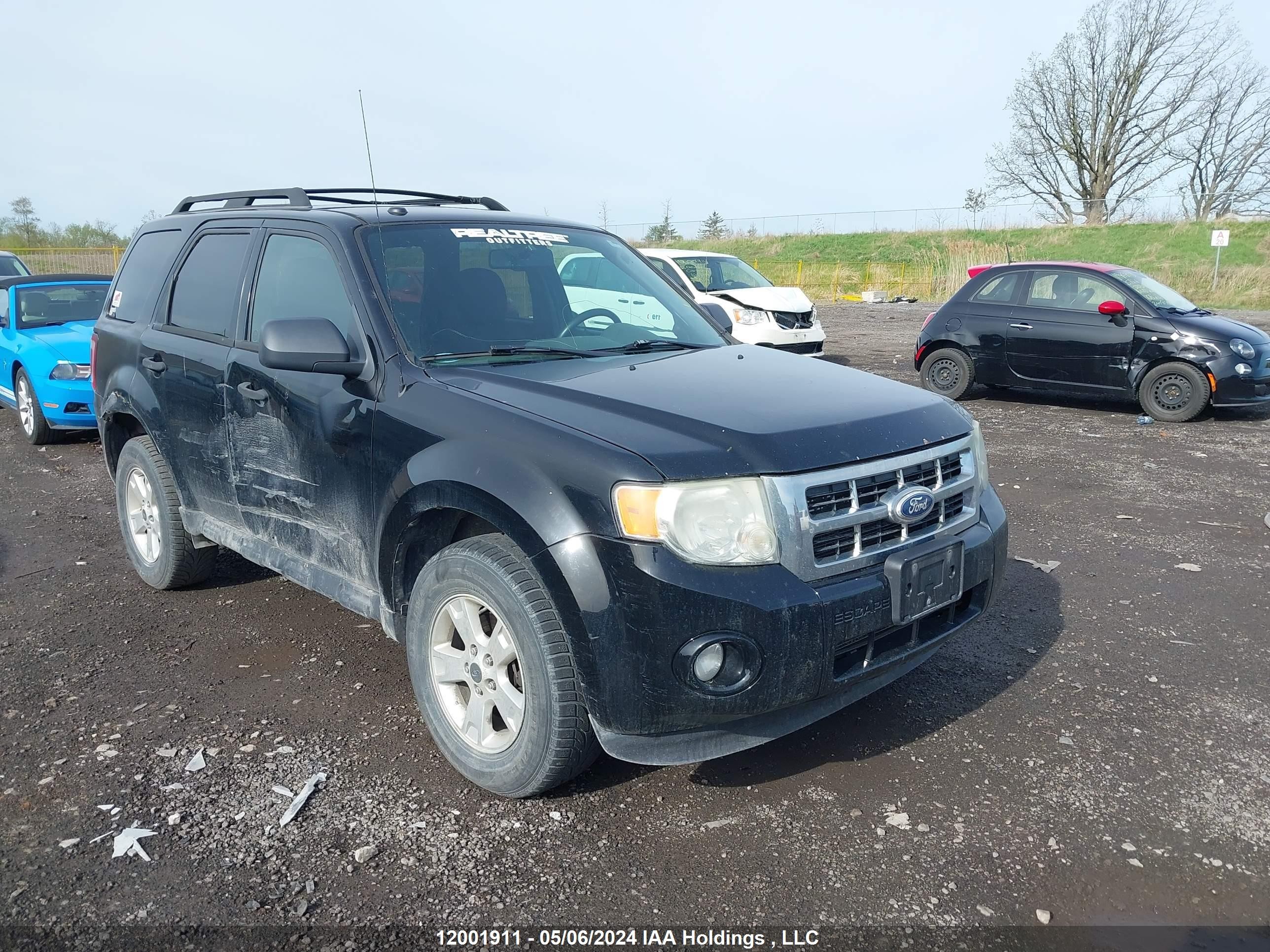 ford escape 2010 1fmcu0dg6akb86539