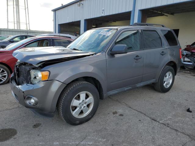 ford escape xlt 2011 1fmcu0dg6bka61042