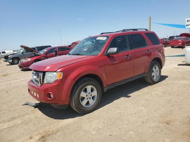 ford escape xlt 2011 1fmcu0dg7bkc17072