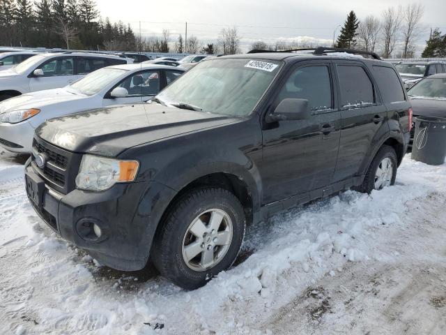 ford escape xlt 2012 1fmcu0dg7cka86226