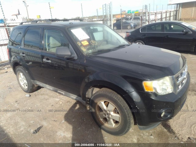 ford escape 2010 1fmcu0dg8akc50290