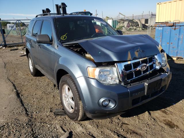 ford escape xlt 2010 1fmcu0dg8akd33279