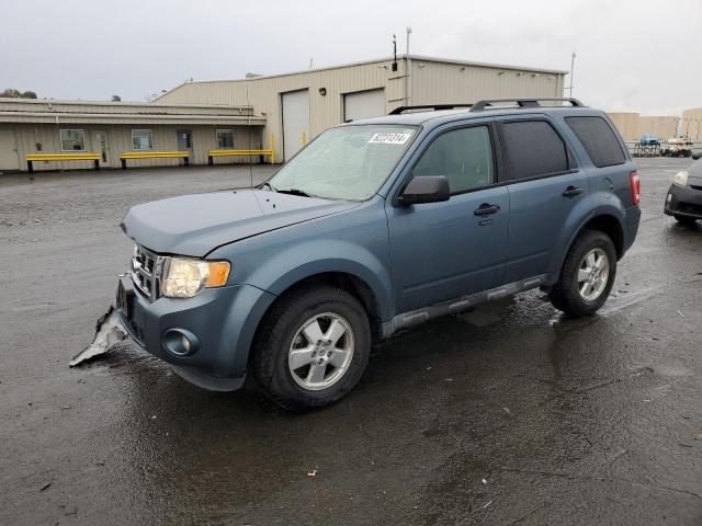 ford escape xlt 2011 1fmcu0dg8bkc71366