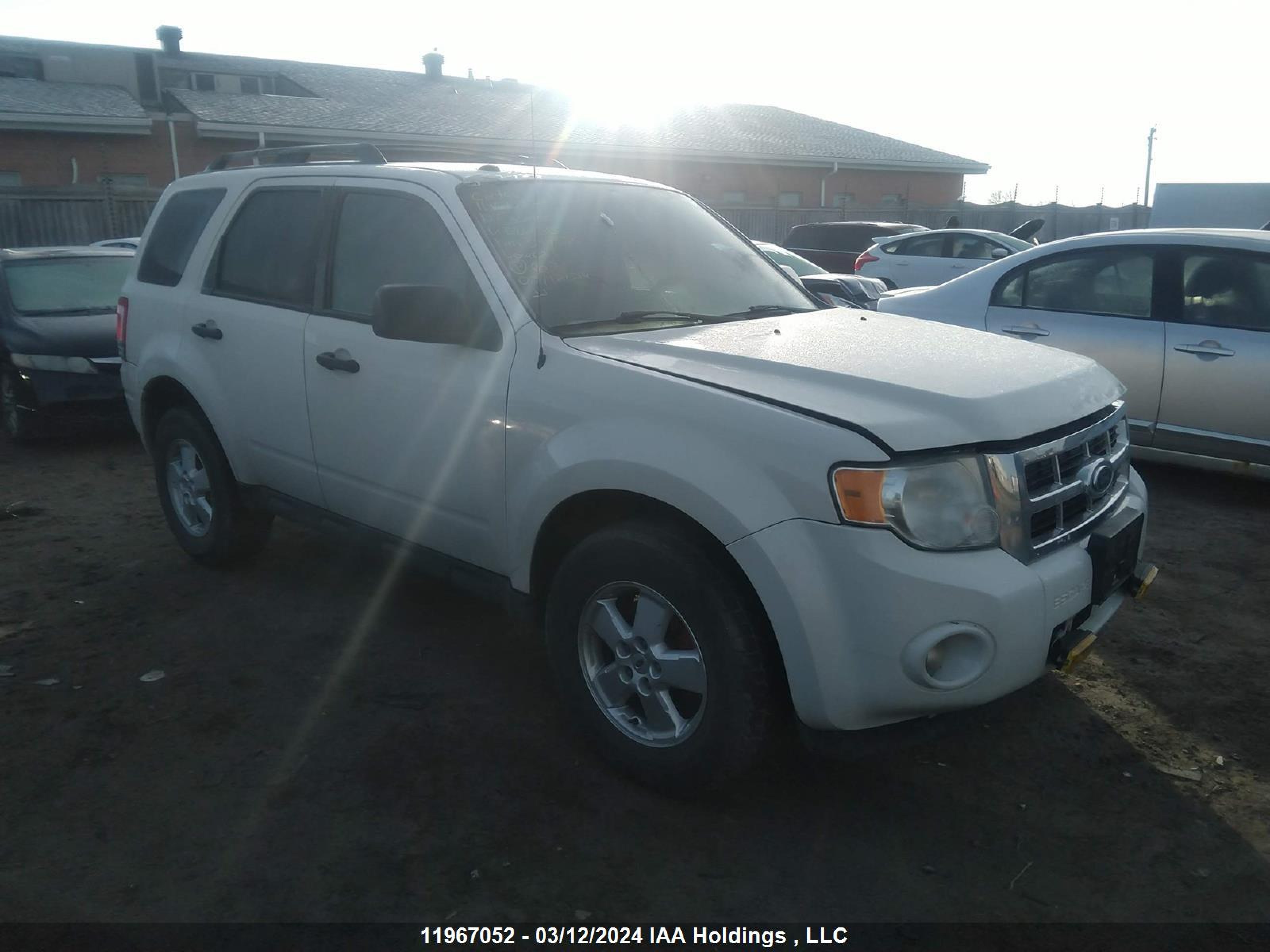 ford escape 2010 1fmcu0dg9akb86650