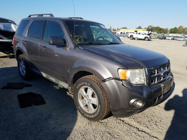 ford escape xlt 2010 1fmcu0dg9akc14334