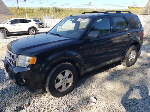 ford escape xlt 2011 1fmcu0dg9bkc62062