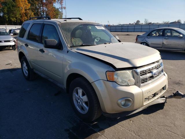 ford escape xlt 2011 1fmcu0dg9bkc64622