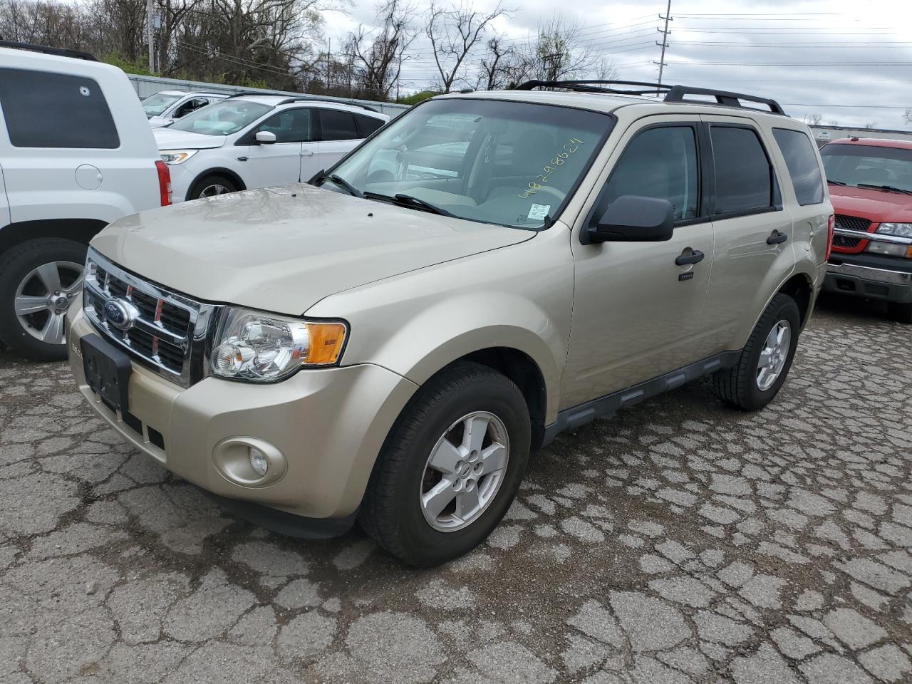 ford escape 2010 1fmcu0dgxakd19559