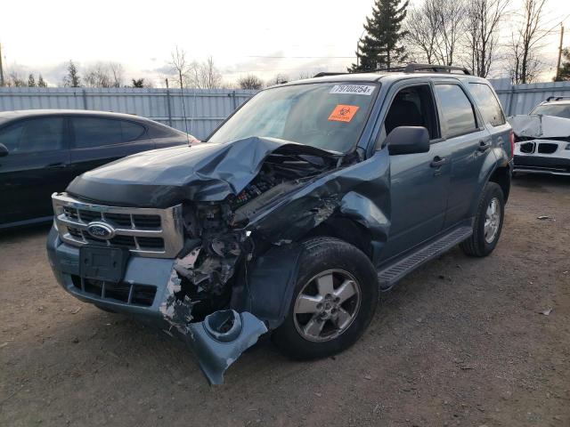 ford escape xlt 2011 1fmcu0dgxbkb30959