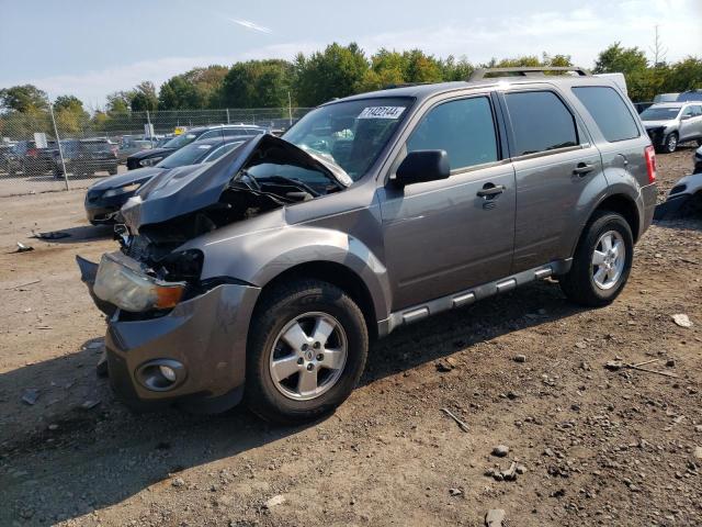 ford escape xlt 2011 1fmcu0dgxbkc21360