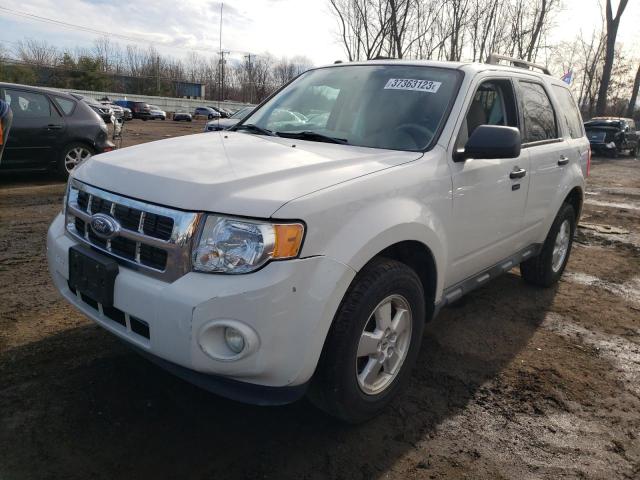 ford escape xlt 2011 1fmcu0dgxbkc39650