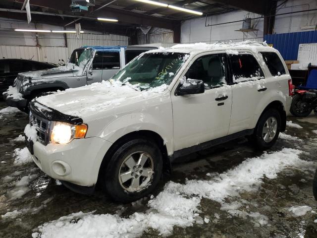 ford escape xlt 2011 1fmcu0dgxbkc70350