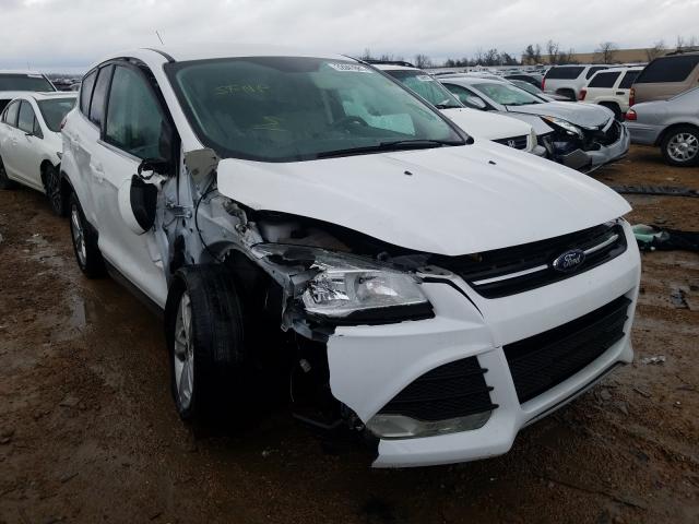 ford escape se 2014 1fmcu0g94euc30190