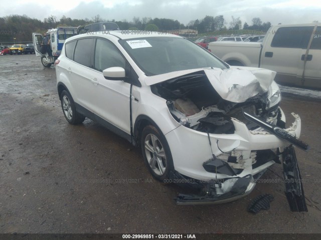 ford escape 2013 1fmcu0g99dua83590