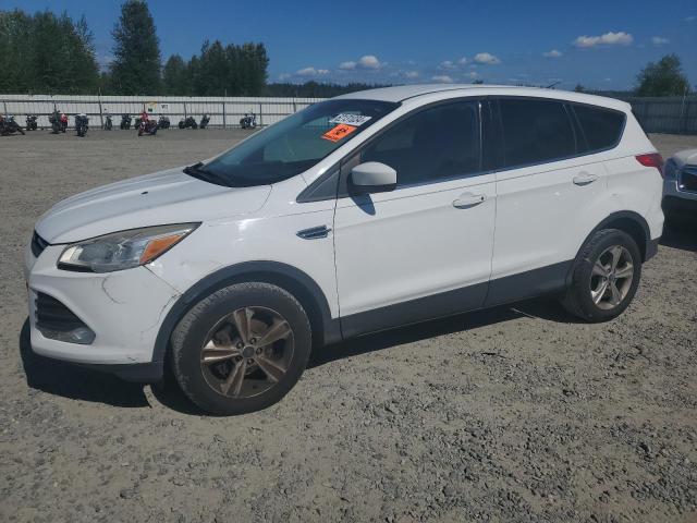 ford escape 2013 1fmcu0gx2dub97445