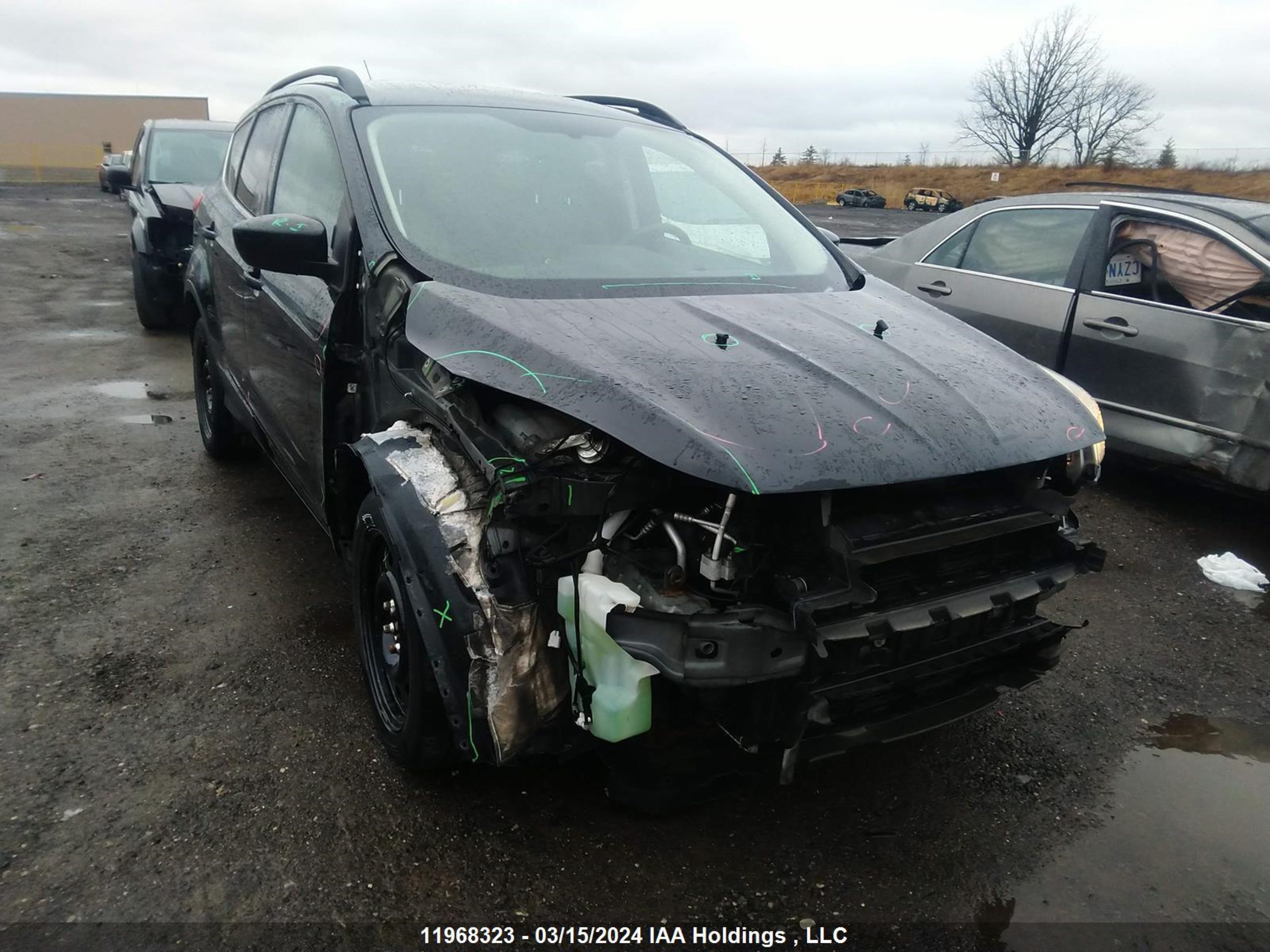 ford escape 2014 1fmcu0gx2eud20212