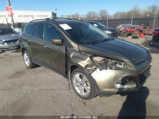 ford escape 2013 1fmcu0gx3dud51841