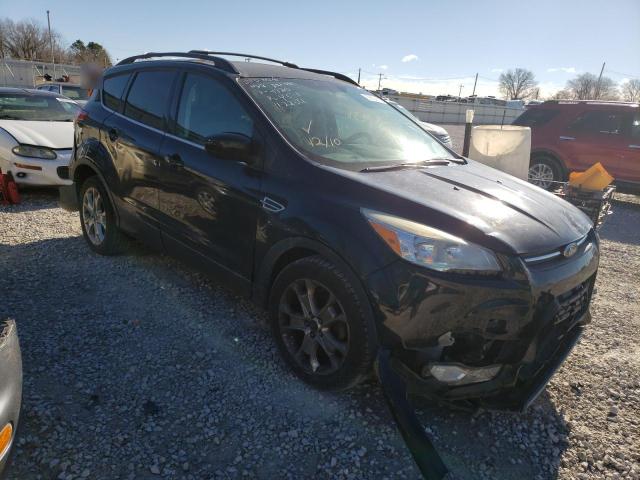 ford escape xlt 2013 1fmcu0gx3dud64380