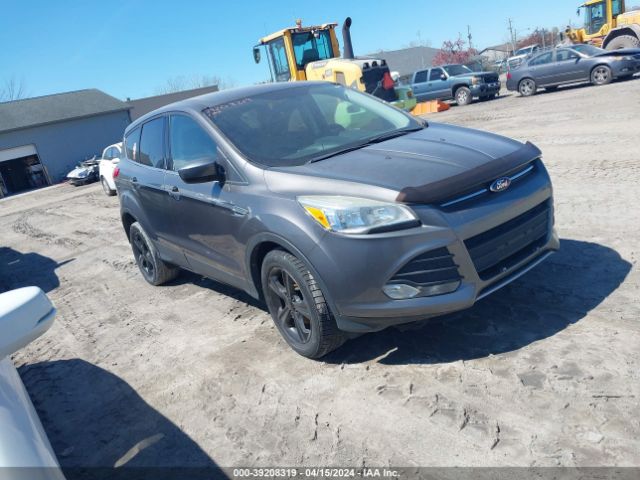 ford escape 2014 1fmcu0gx4eua28464