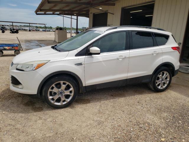 ford escape 2014 1fmcu0gx4euc07569