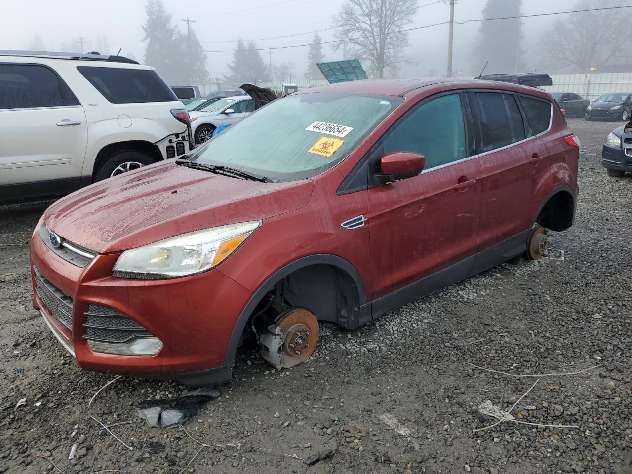 ford escape 2014 1fmcu0gx4euc23707