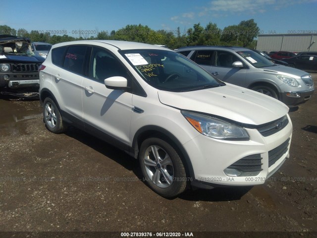 ford escape 2014 1fmcu0gx4eue10896