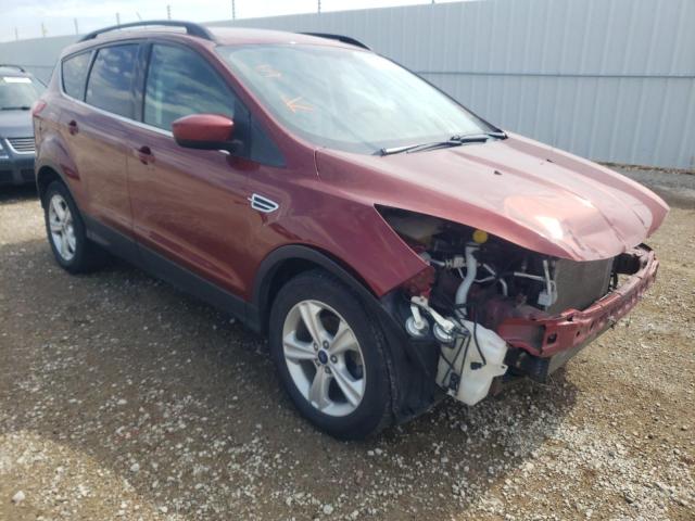 ford escape 2014 1fmcu0gx7eua08919