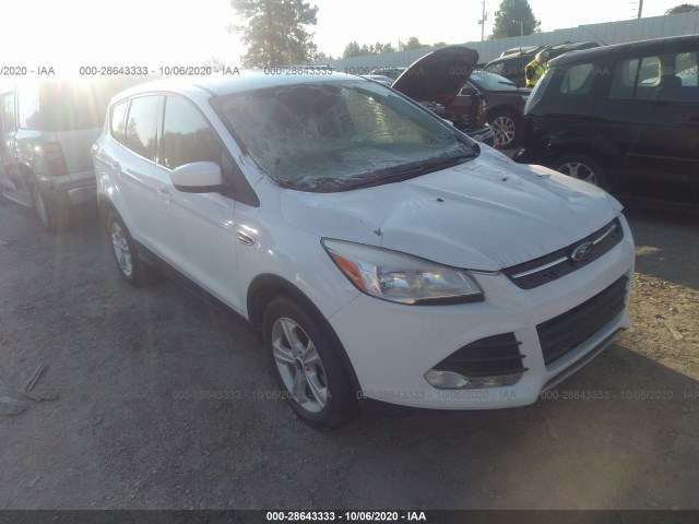 ford escape 2013 1fmcu0gx8dub36455