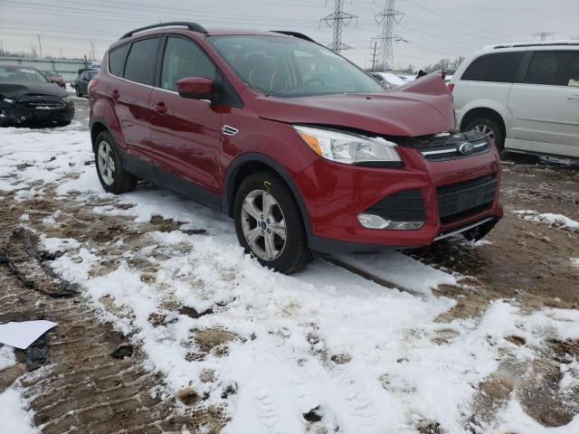 ford escape se 2014 1fmcu0gx9eub24431