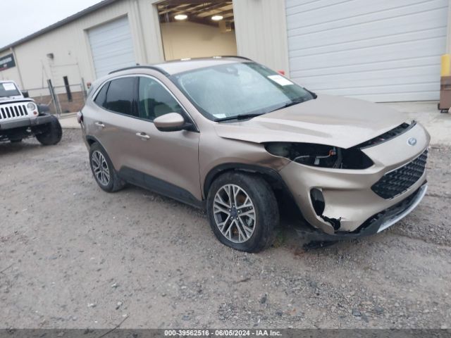 ford escape 2020 1fmcu0h65luc10239