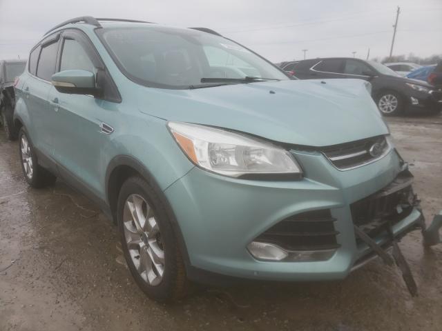 ford escape sel 2013 1fmcu0h93duc84061